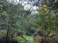 El Sur del Parque: Trap Trail