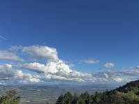 El Sur del Parque: Trap Trail