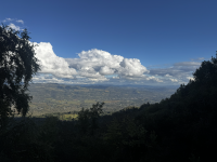 El Sur del Parque: Trap Trail