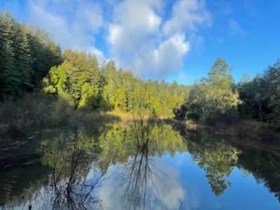 London Lake - Private Guided Hike