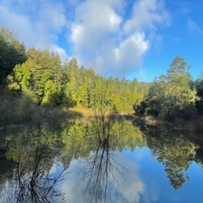 London Lake - Private Guided Hike