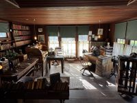 Un Paseo por los Museos