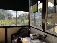 Un Paseo por los Museos