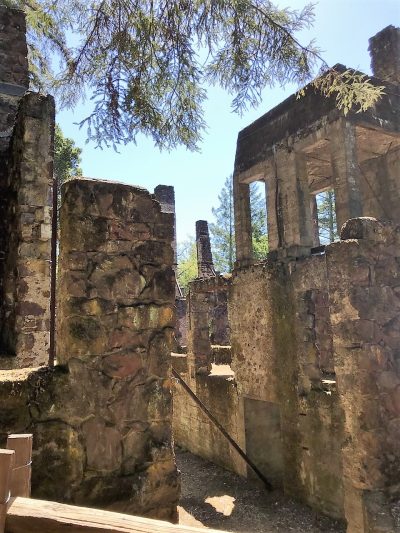 Una Caminata por la Mañana