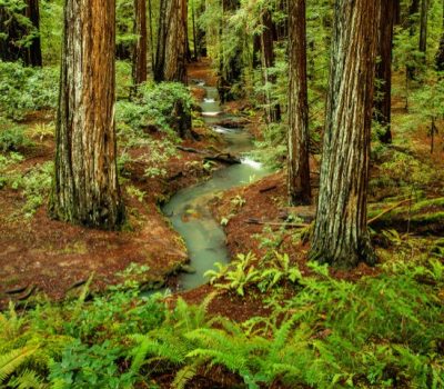 A Creative Photography Workshop