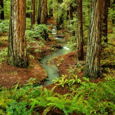 A Creative Photography Workshop