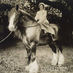 General Admission – The Women of Beauty Ranch: Hands That Shaped the Vision
