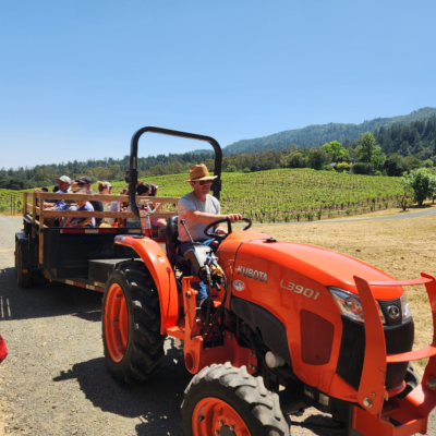 Call of the Wild Festival 2026