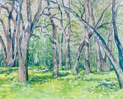 Plein Air Watercolor Landscapes: A Day at Jack London Park