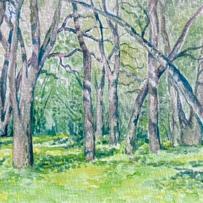 Plein Air Watercolor Landscapes: A Day at Jack London Park