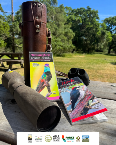 Especies de Sonoma: Aves