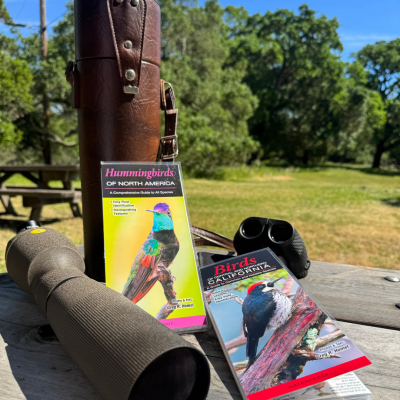 Especies de Sonoma: Aves