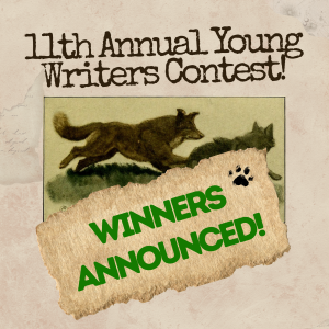 Winning Stories for 2026 Announced!