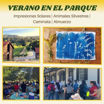 Verano en el Parque