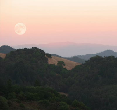 Howl at the Moon Hike