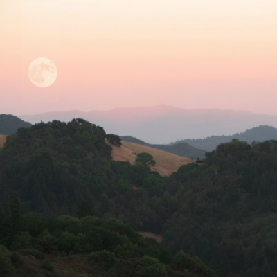 Howl at the Moon Hike