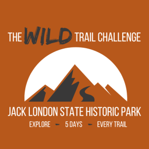 The WILD Trail Challenge 2026