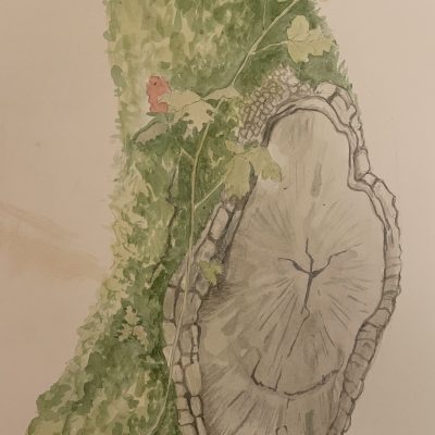 Plein Air Trees Up Close: A Day at Jack London Park