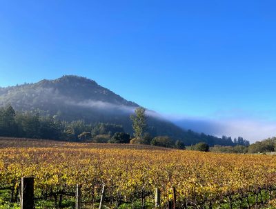 Rocktober - The Sonoma Creek Watershed