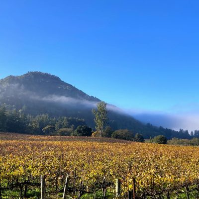 Rocktober- The Sonoma Creek Watershed